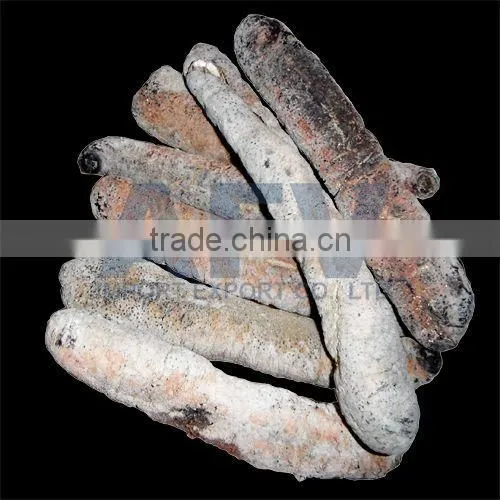 Dry Sea Cucumber Vietnam, Lolly Fish, Holothuria Atra photo-2