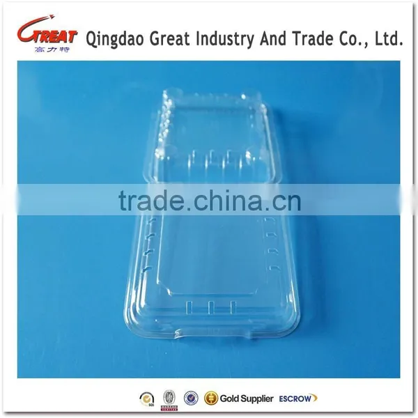 Clamshell Blister Plastic Blueberry Packaging Container 125 Gram photo-2