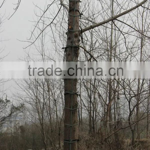 Chinese Manufacturer Freedom Aluminum Tree Climbing Equipment photo-2