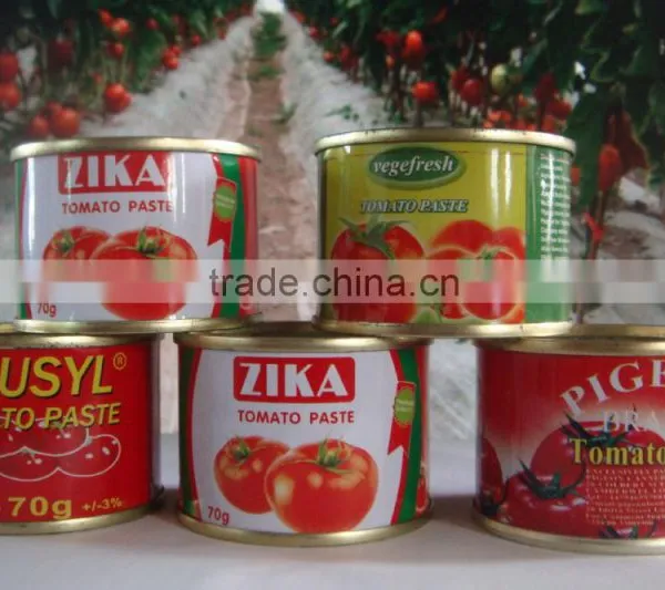 Safety And Hygiene 2200g Tomato Catsup of Brix 28-30% Sellerdom in Africa photo-2