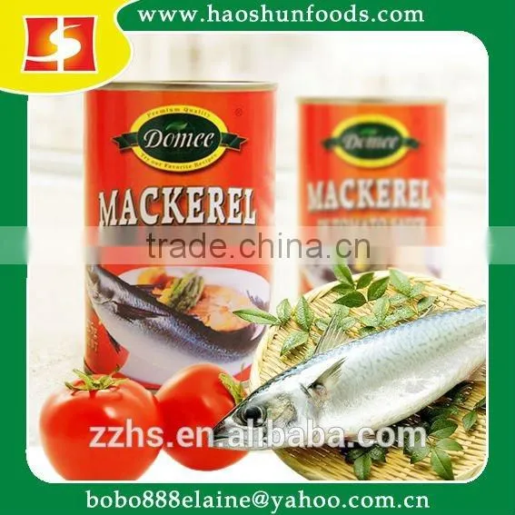 Canned Mackerel in Tomato Sauce Hot Item photo-3