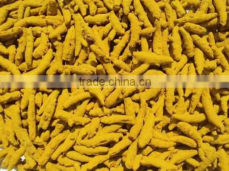 Erode Turmeric Fingers - Bold