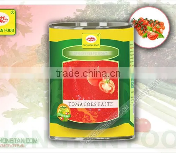 Tomatoes Paste in Can 20 Oz