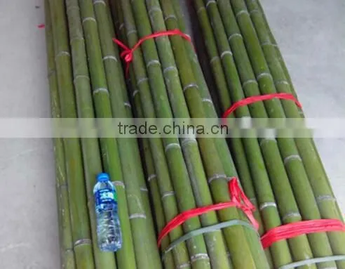 Bamboo Poles and Bamboo Bent Pole