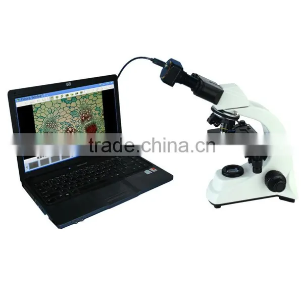 High resolution DBMVV3000CL-5B digital biological microscope equipped with digital microscope camera