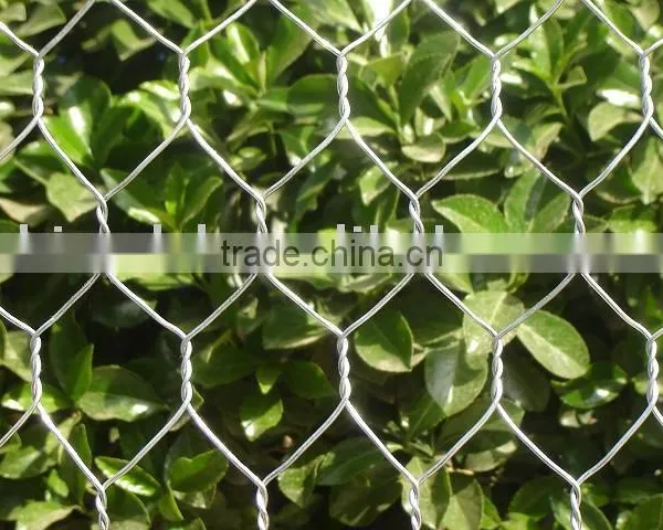 Vegetables Garden Fence Mesh/chicken Mesh