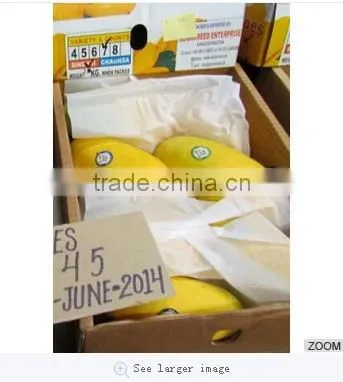 Fresh Mango (Processed / Washed) photo-5