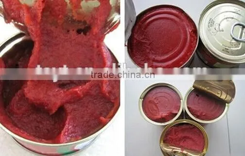Canned Tomato Paste 4.5 kg Canned Tomato Paste 2.2 kg photo-3