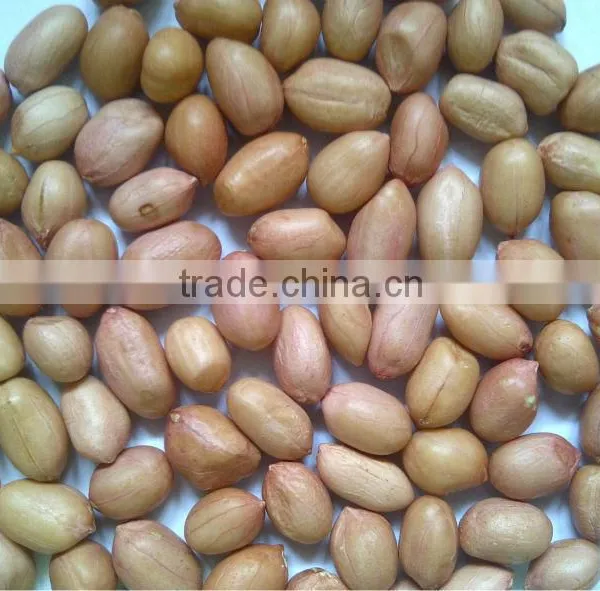 Peanuts photo-4