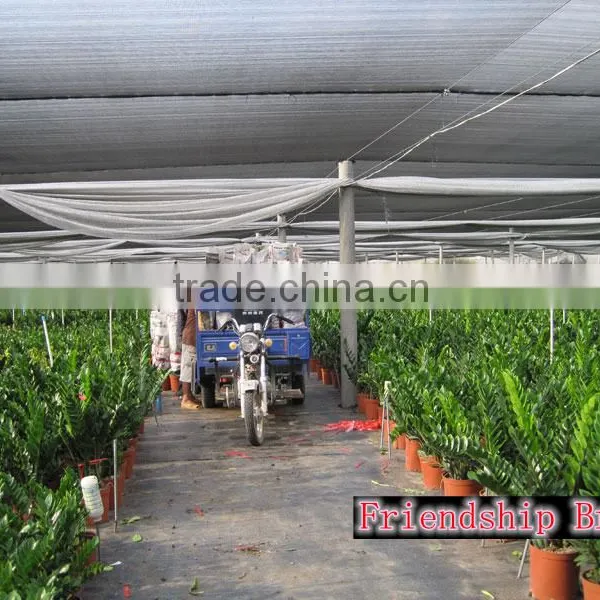 Natural Zamioculcas Zamiifolia for Indoor Ornamental Decorative Bonsai Plants photo-3
