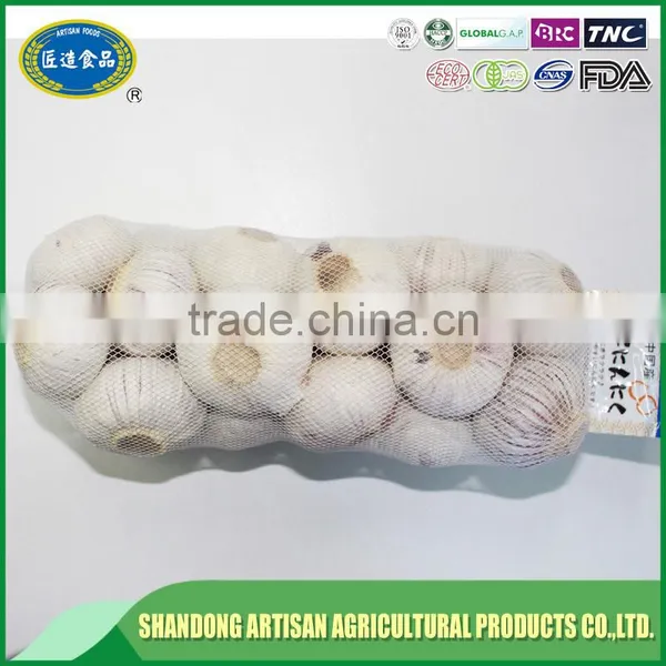 Fresh Solo Garlic photo-4