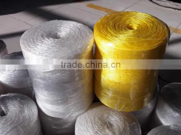 Agriculture pp Baler Twine for Hay photo-4