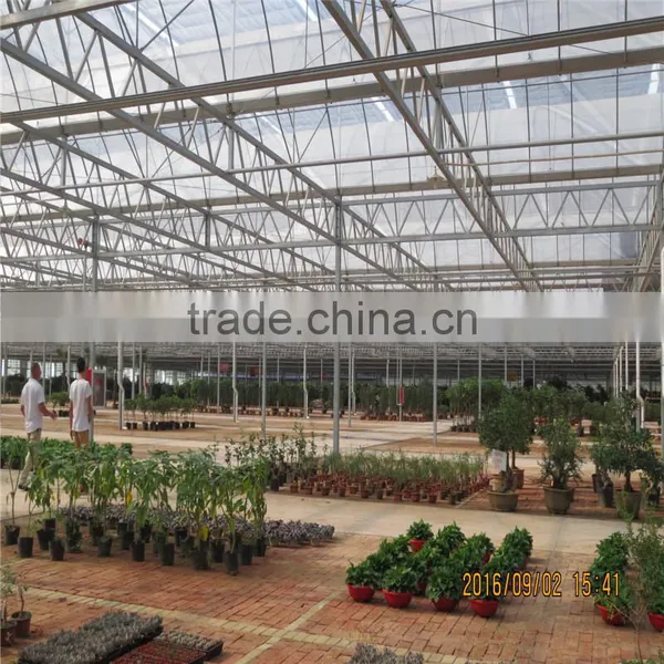 Hydroponics Agriculture Plastic Film Greenhouse photo-6