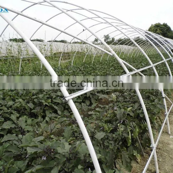 Tunnel Greenhouse photo-6