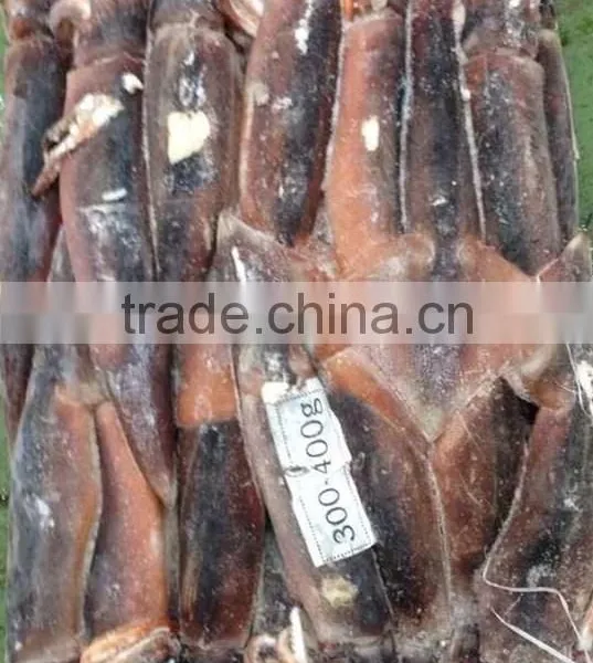 Frozen Illex Squid Argentina Squid From China Supplier 300-400g photo-2