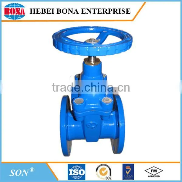 Ductile Iron Valve