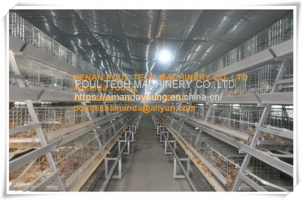 Ecuador Poultry Farming Baby Chick Cage & A Frame Automatic Small Chicken Cage & Pullet Coop With Feed Trough for 5000 Chicks in Chicken Shed photo-2