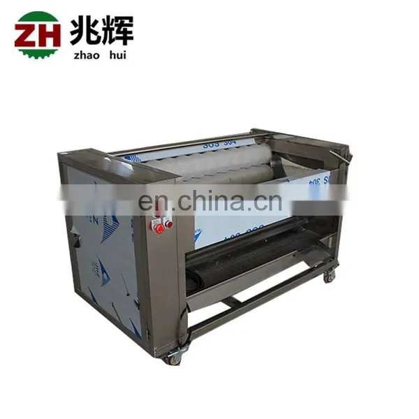 Cheap Price Carrot Vegetable Potato Peeler Turnip Ginger Brush Washing and Peeling Machine photo-2