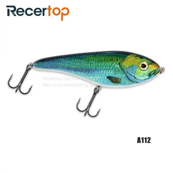 Recertop Heavy Plastic S-type Swimming Jerk Bait Sinking Fishing Hard Lure