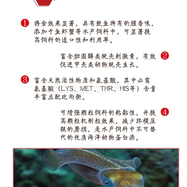Squid Liver Powder photo-3