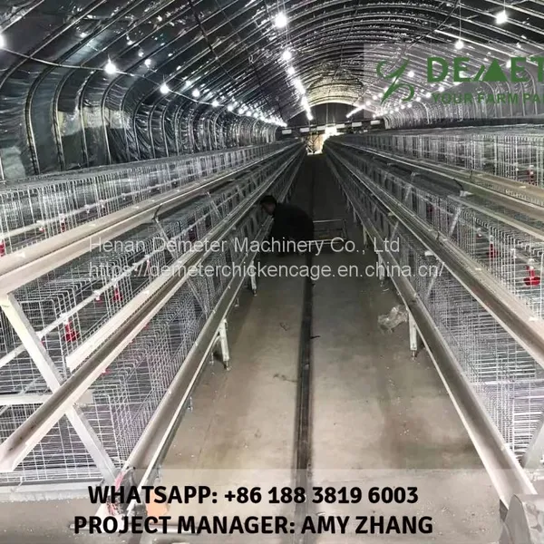 Best Chicken Cage photo-3