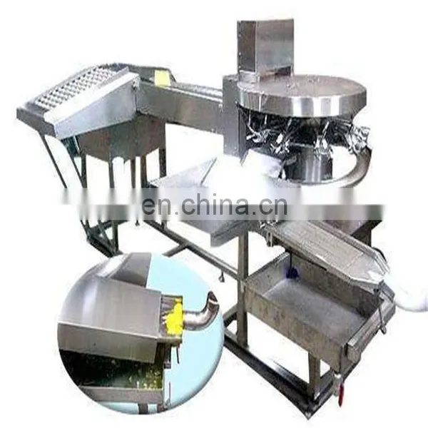 Automatic Dried Egg White Processing Line / Egg White Powder Machine photo-3