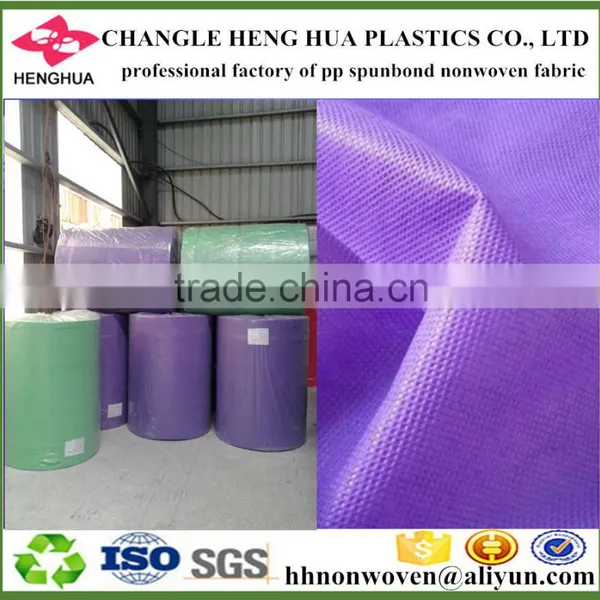 Big Manufacturer Polypropylene Non Woven Cloth for Table Cloth,bags