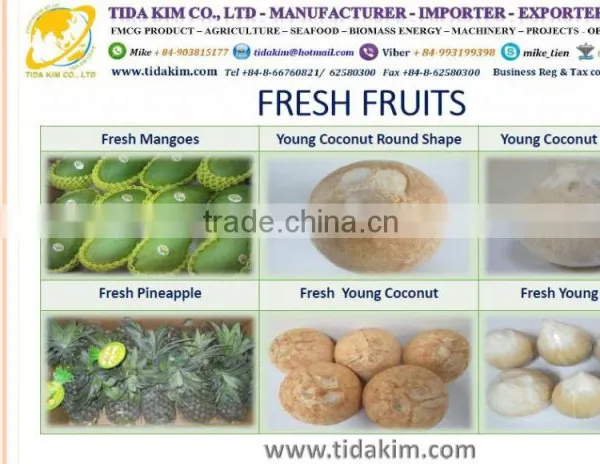 ORGANIC COCONUT WATER UHT TIDA KIM TETRA BOX 330ML 100ML - BLACK PEPPER - VIETNAM CASHEW NUTS- DESICCATED COCONUT photo-3