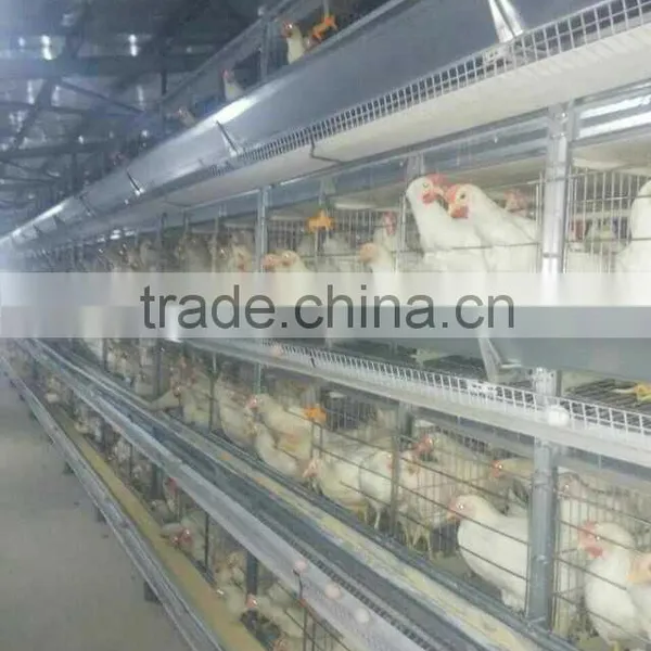 Poultry Feed Grinder and Mixer for Chicken and Quail photo-2