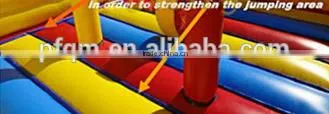 New Design Inflatable Water Slide and Pool With Cannon-PF-IE507 Water Slide Park photo-6