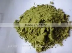 Moringa Leaf Powder in India/common Cultivation Moringa Leaves/organic Cultivation Drumstick Leaves Exporters photo-2