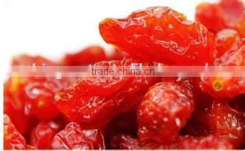 Dried Cherry-tomato in China photo-2