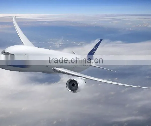 Amazon Professional Cheap Express Door to Door Service From China to USA photo-2