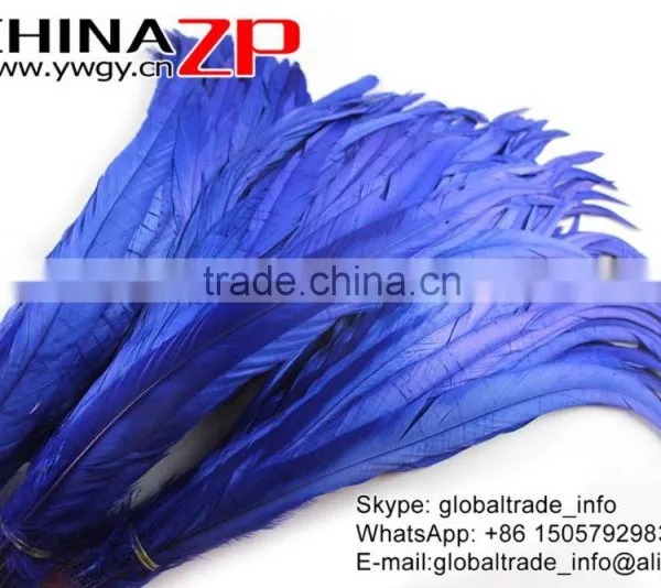 Leading Supplier CHINAZP Wholesale Colored Royal Blue Chicken Fully Dyed Roosters Feathers for Show photo-4