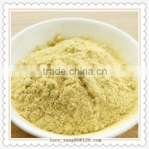 Ginger Powder Benefits of Ginger Powder Healthy Products photo-3