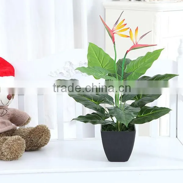 Plastic Paradise Birds Flower