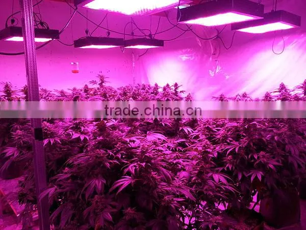 600w/1000w Led Grow Light Full Spectrum Certificate for Hydroponic Indoor Plants Growing photo-4