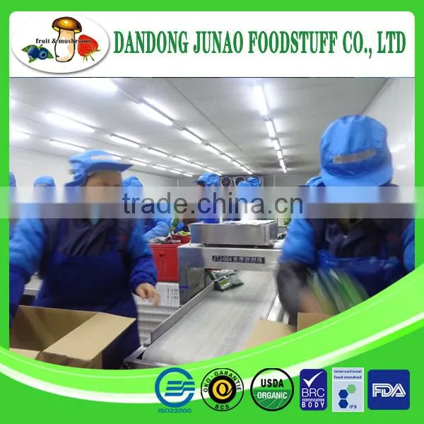 Frozen Fruits and Vegetables Manufacturer IQF Broccoli Frozen photo-4