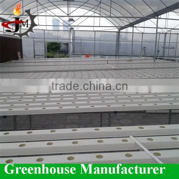 Desert and Semi-arid Greenhouse for Tomato Lettuce Strawberry photo-4