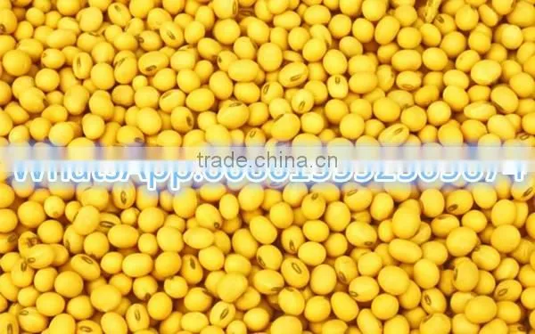 Factory Price Corn Cold Oil Press Machine for Export / Oil Press Machine photo-2