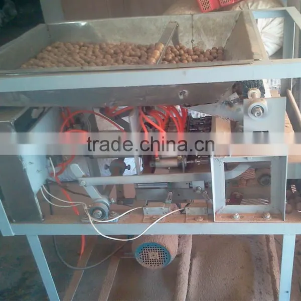 Macadamia Nut Cracker Machine Nuts Processing Machine photo-4