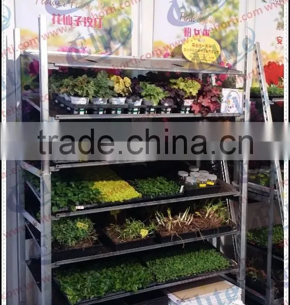 Display Flower Pot Shelf Rack With Caster photo-3