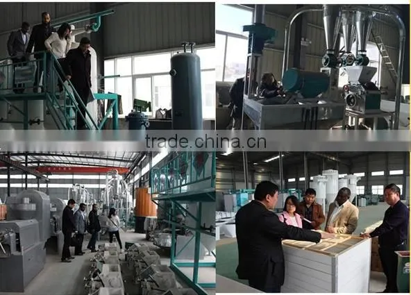50T/Day Maize Flour Production Line Corn Grits Mill Plant Cereal Grain Crusher Grinding Machine photo-4