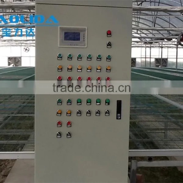 Large Plastic Film Multi-span Greenhouse Poly Covering Greenhouse photo-4