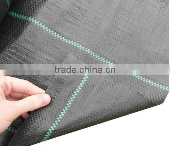 Polypropylene Plastic Agricultural Black PP Ground Cover photo-3
