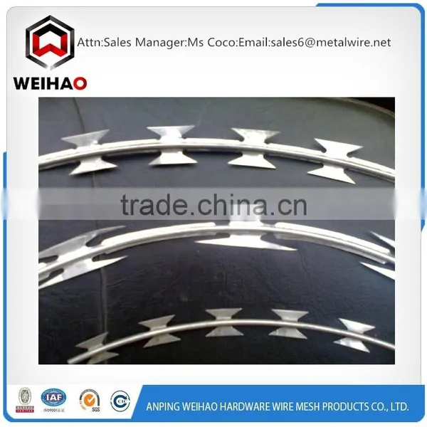 Guatemala Salable Good Quality and Price Barb Barbed Wire Razor Barbed Wire/razor Wire photo-4