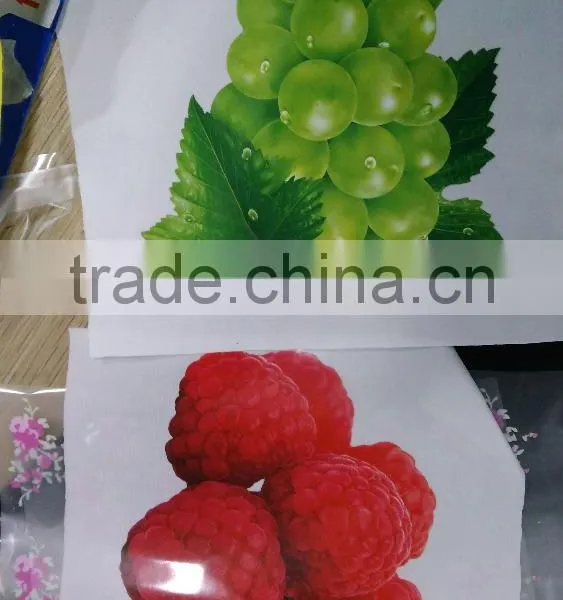 Jiabao Best Price PET Release Coating Film for Screen and Offset Printing photo-3
