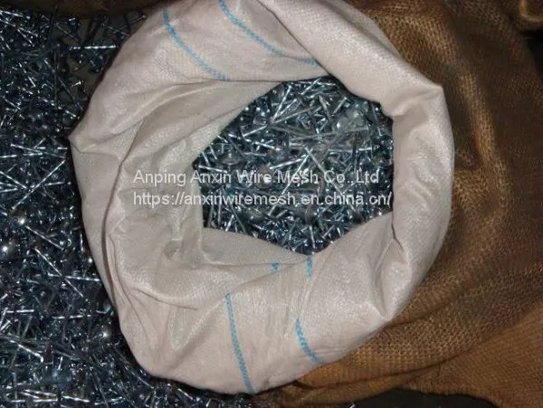Galvanized Umbrella Head Roofing Nails 9gauge 2.5'' photo-2