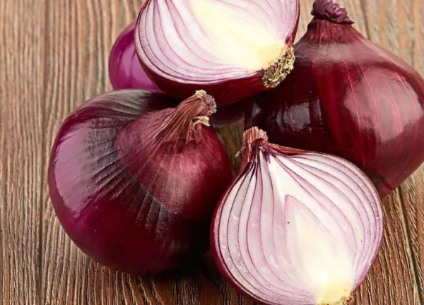Wholesale Red Onion Fresh Onion Price Wholesale Prices Super Price photo-2