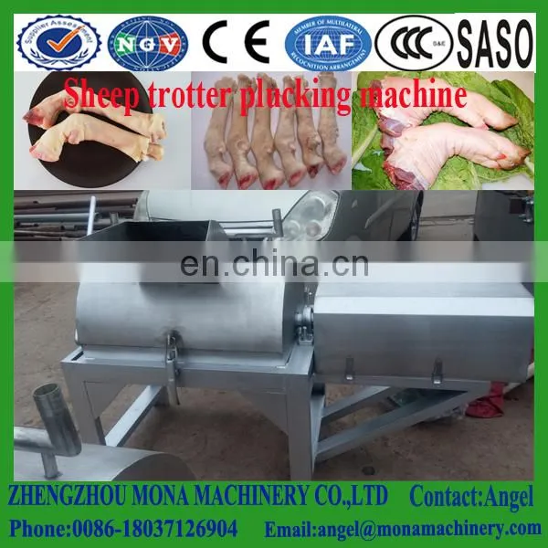 Working Effect Leg Hair Removal Machine Goat Processing Cleaning Machine photo-4